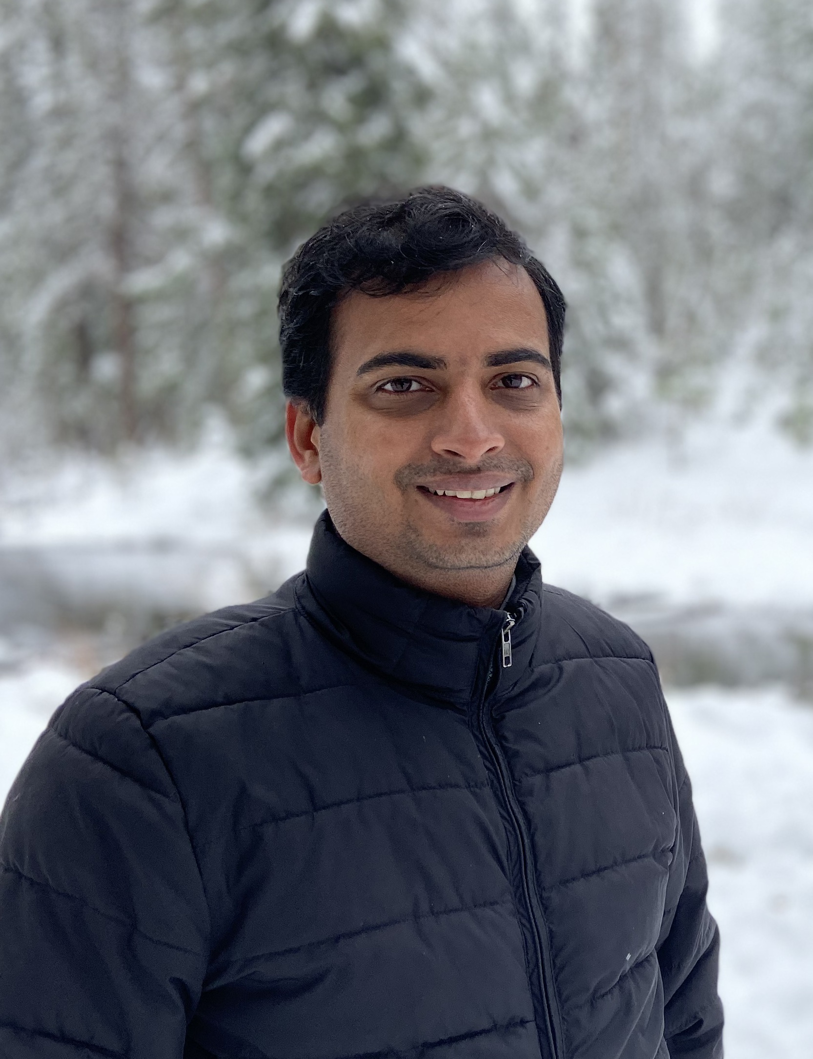 Pulkit Goel